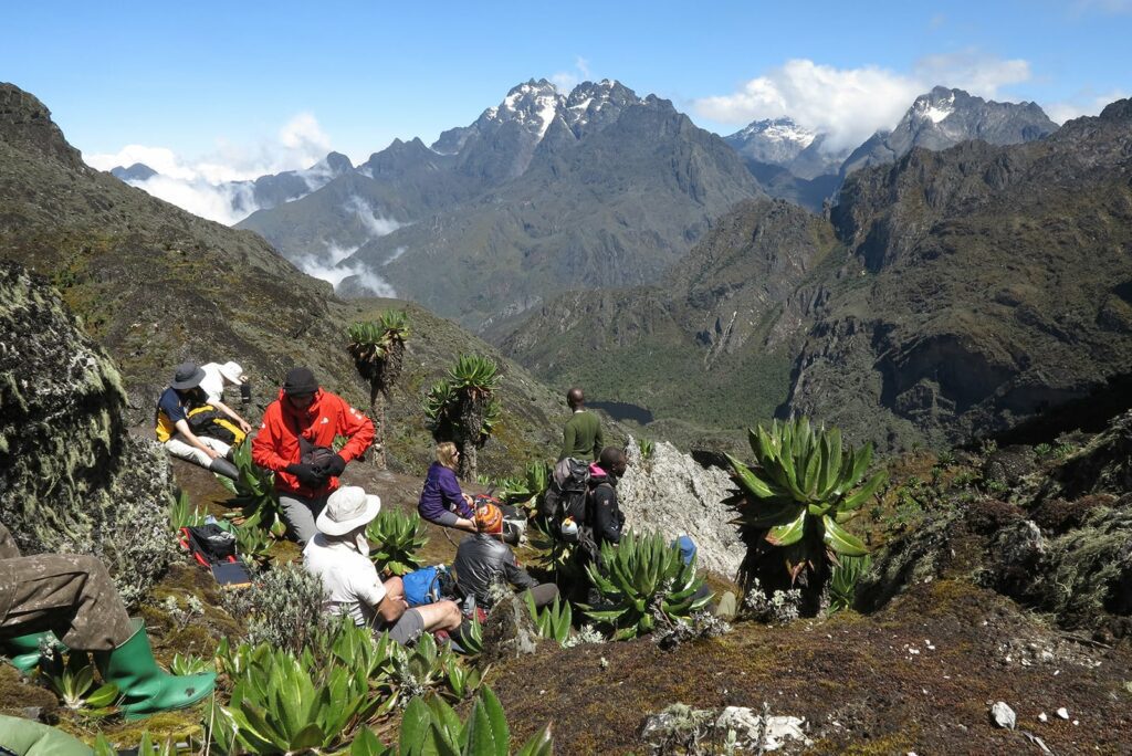 Trekking Uganda’s Rwenzori Mountains - Australian Geographic