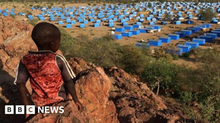 Possible genocide committed in Darfur, HRW says