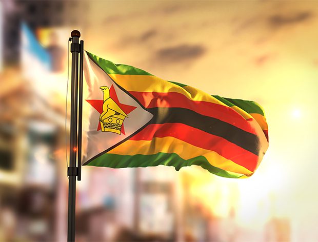 Zimbabwe secures agri export boost with first-of-its-kind BII loan