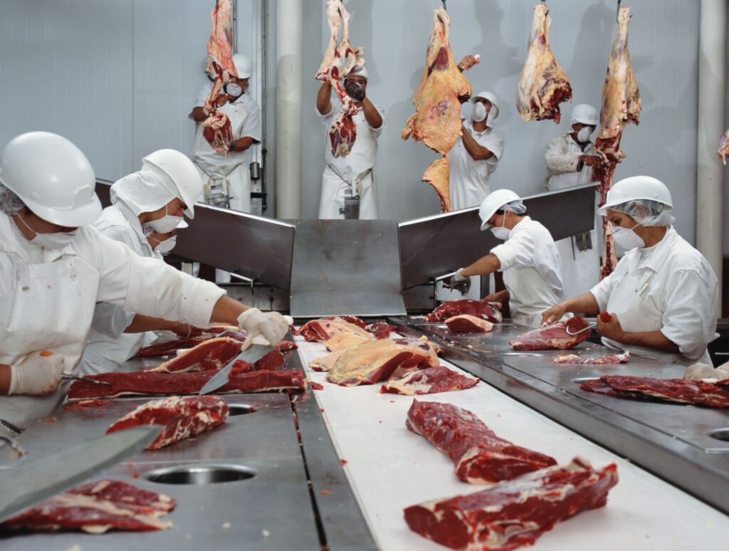 Butchers cutting beef in slaughterhouse, wearing hygienic masks