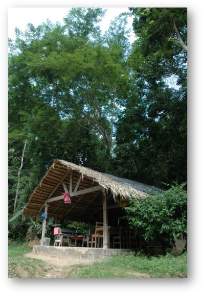 The Tai Forest Monkey Project operates from a field station in Ivory Coast. Photo: W. Scott McGraw