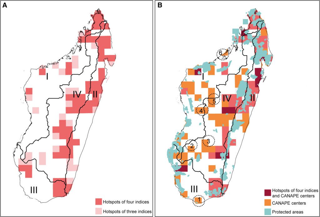 Madagascar's Biodiversity Conservation Gaps Identified by Scientists