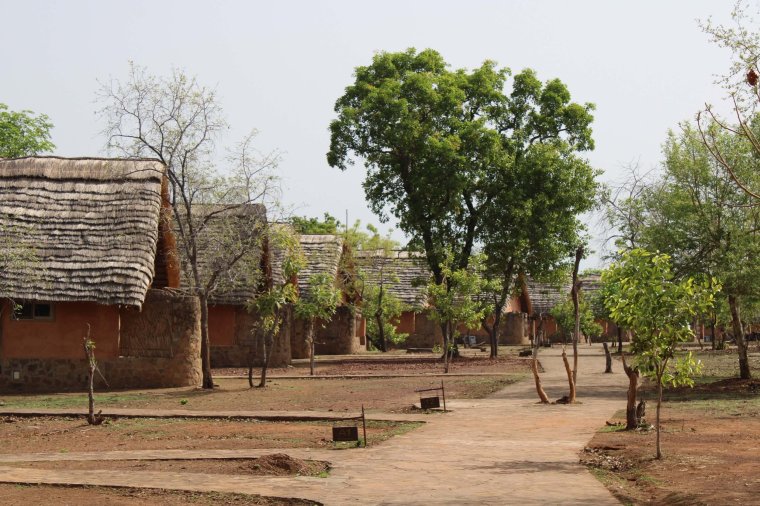 Mole National Park Ghana Image by writer Ian Packham ian@encircleafrica.org