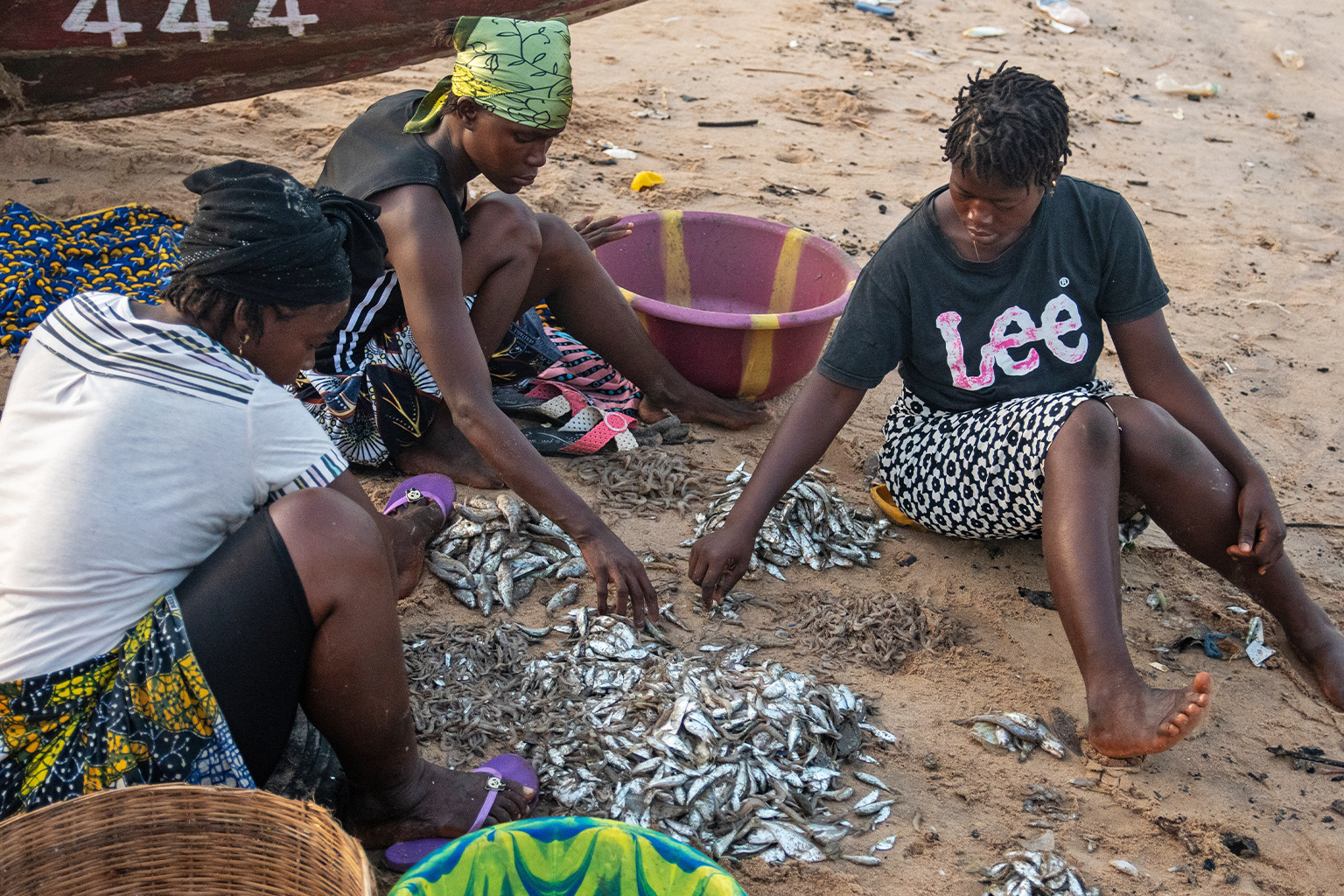 Women fish traders sit with beach seining catch dominated by baby lady fish and shrimps on Mahera Beach.