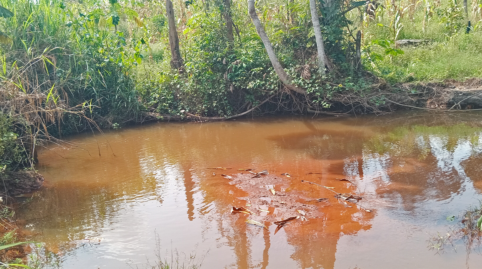 A spring in the village of Mendjui, which shrank due to pollution from erosion.