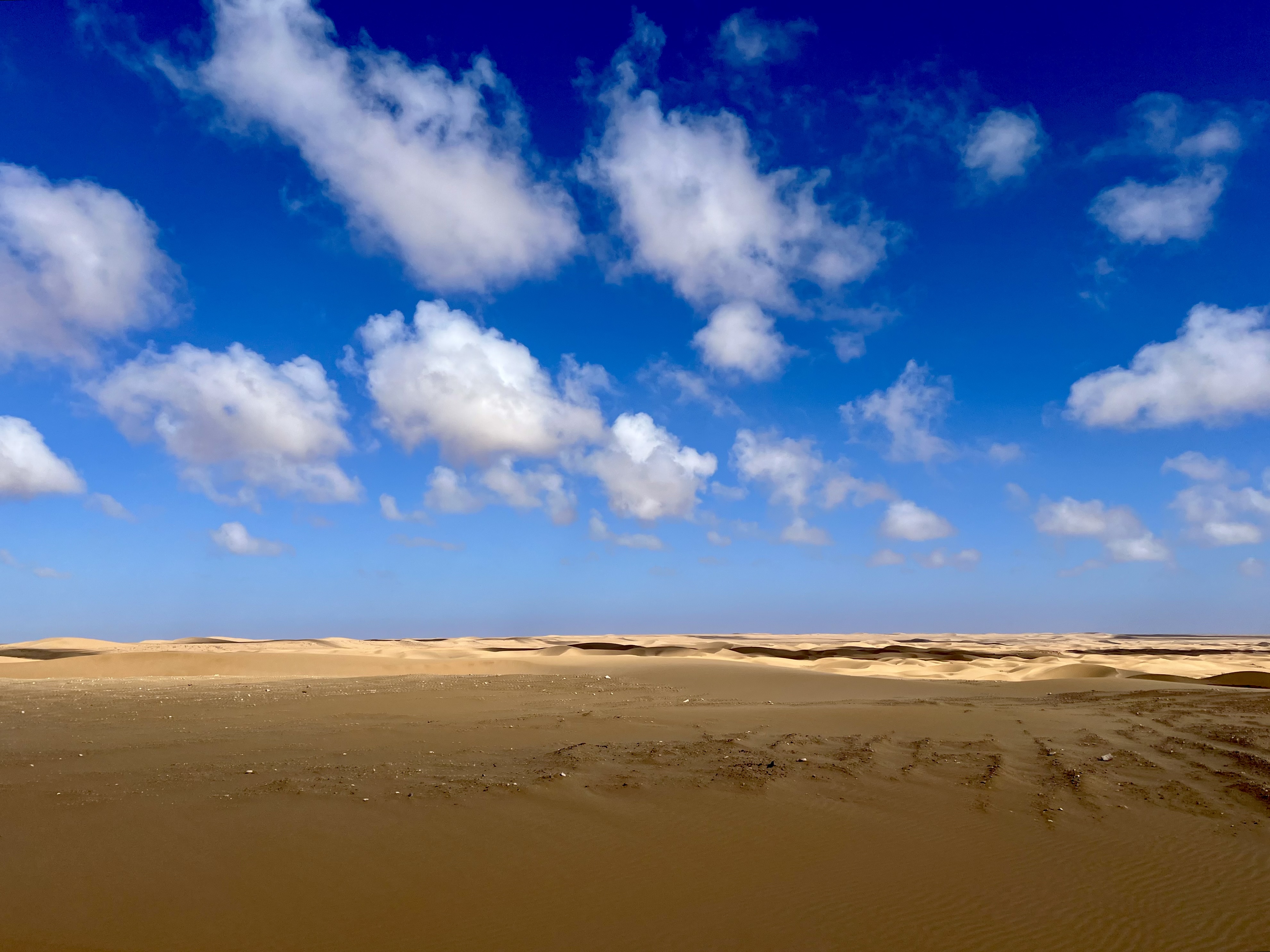 Jake Thorpe cycling across the Sahara