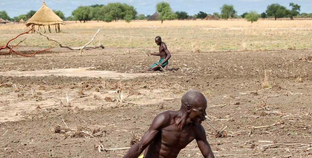 Hunger in Africa as drought hits the south and famine hits Sudan