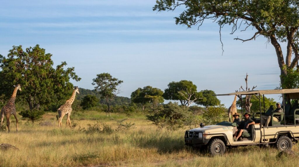 19 of the best safari camps and lodges in Tanzania