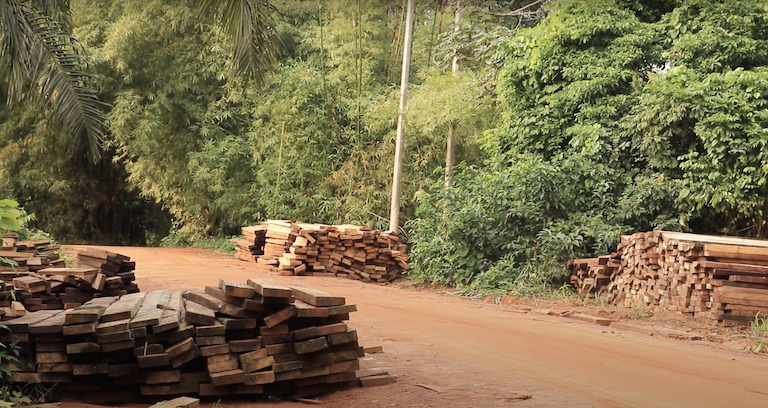 Milled lumber near Afi River Forest Reserve. Image by Orji Sunday.