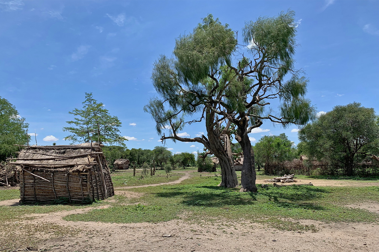 Huts in Ambohitsy Haut.