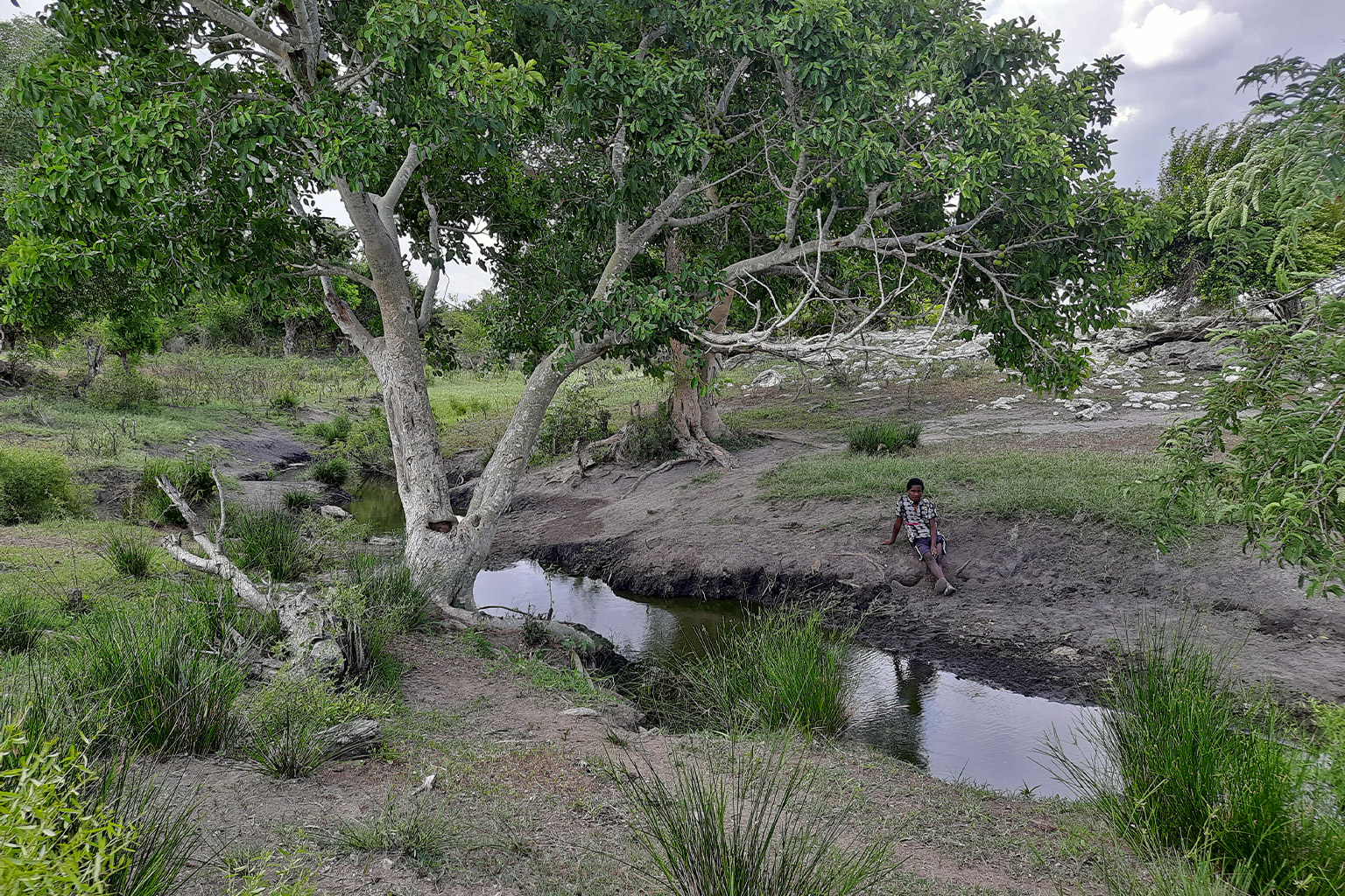 A stream in Ambohitsy Haut. 