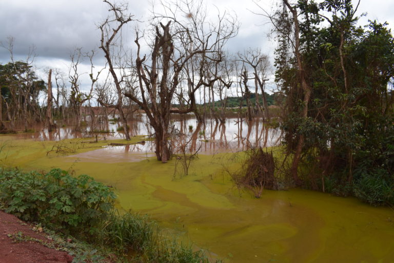 An artificial lake in Kambelé III, resulting from an abandoned mining pit, polluted by waste oils and hydrocarbon products dumped by mining companies. Image © Yannick Kenné.