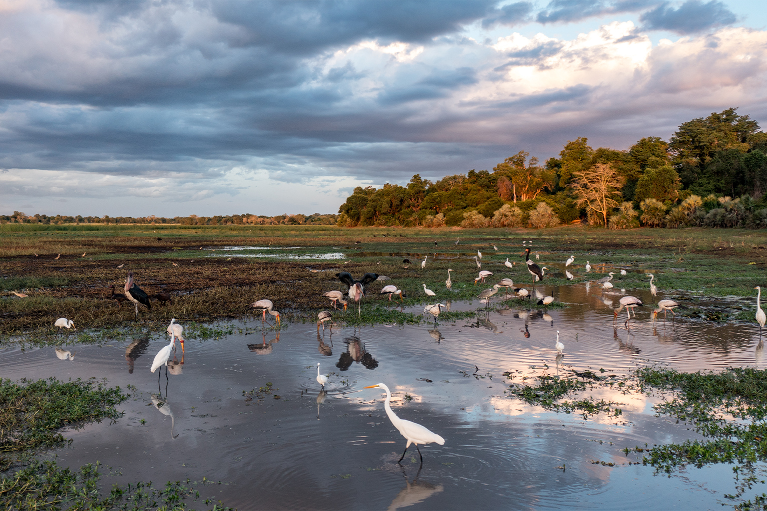 Zinave’s wild landscape