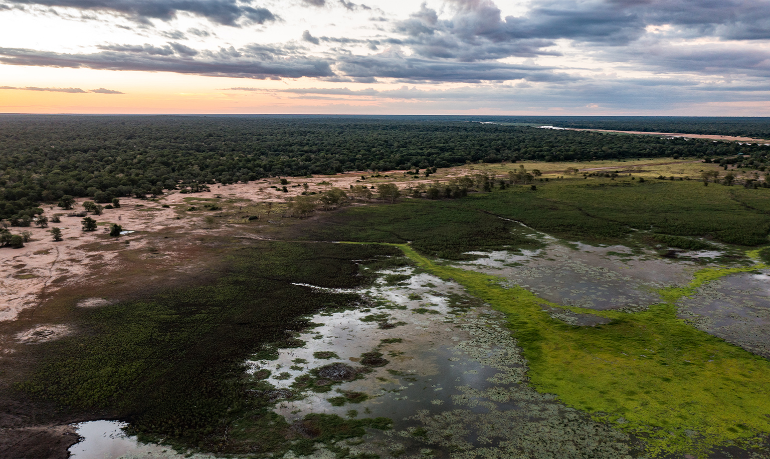 Zinave National Park 