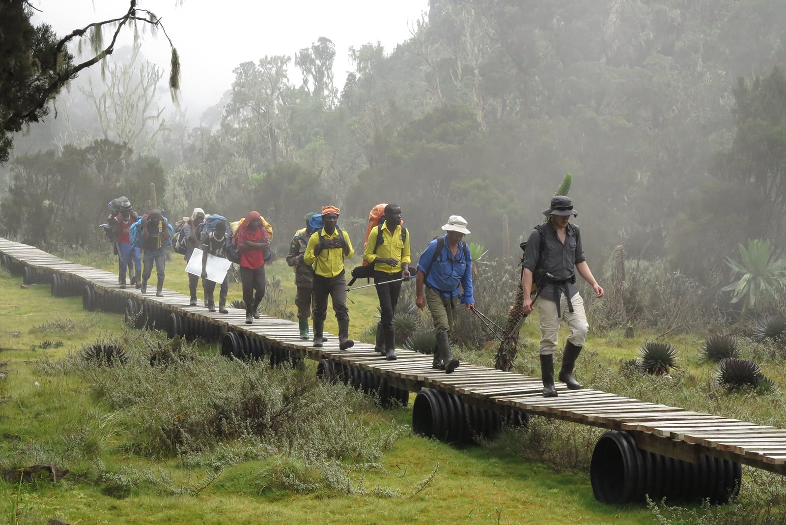 The trekking team walk on a raised timber boardwalk above muddy terrain.