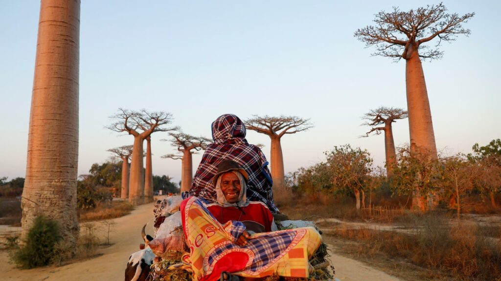 Scientists say Madagascar is breaking up into smaller islands