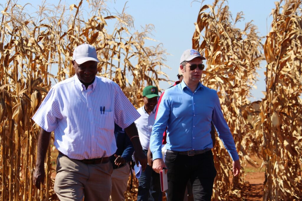 CIMMYT Director General reaffirms commitment to Zambia – CIMMYT