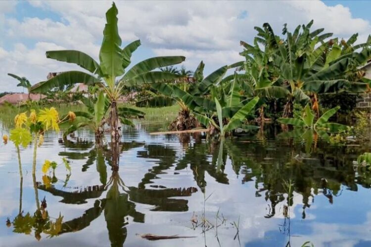 ‘Weather whiplash’ cycles of floods & droughts imperil Nigerian farming