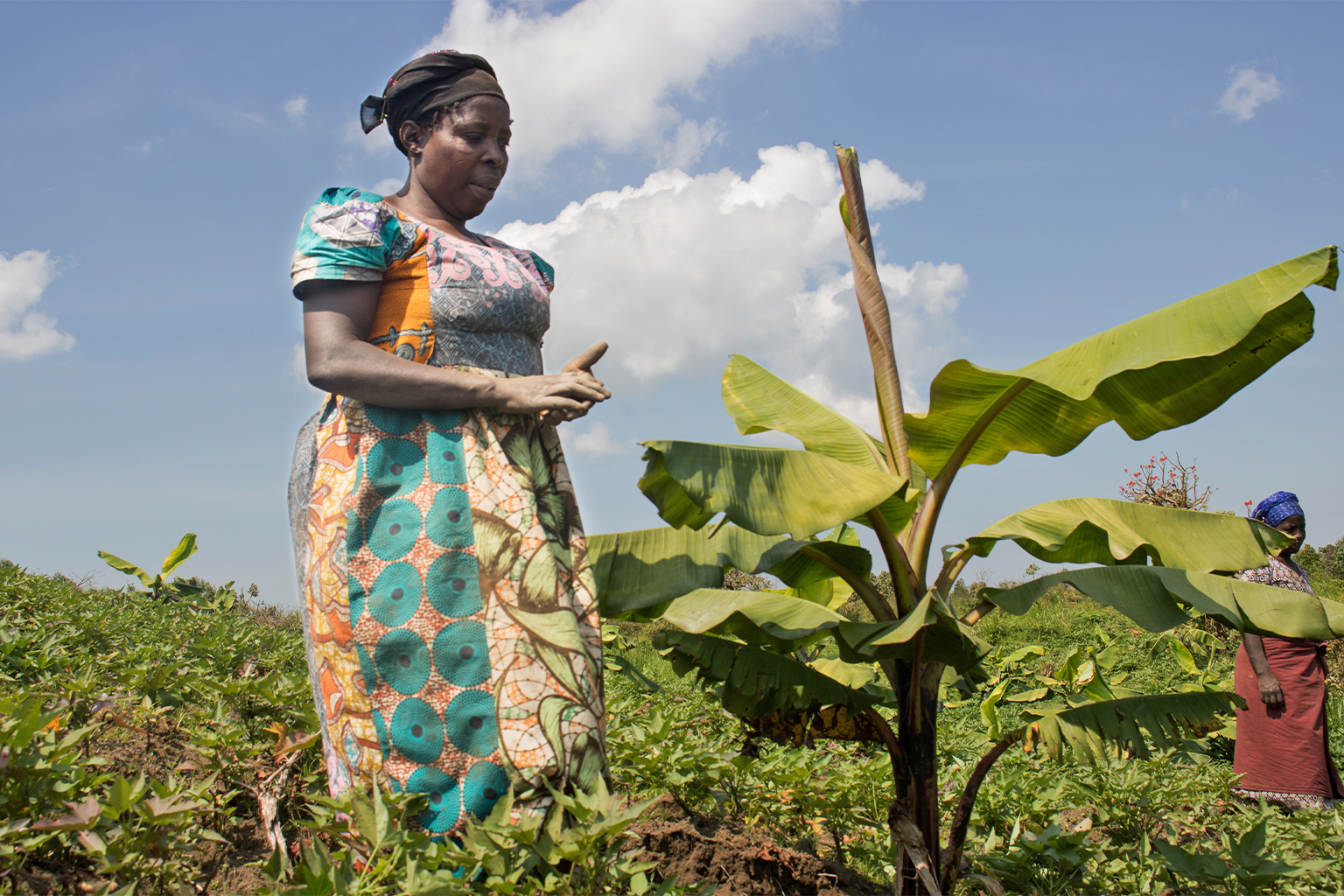 A farmer in Luhonga, DRC.