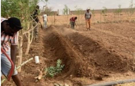 AFRICA/ETHIOPIA - Ethnic conflicts, hunger and drought: despite numerous challenges, missionaries do not give up