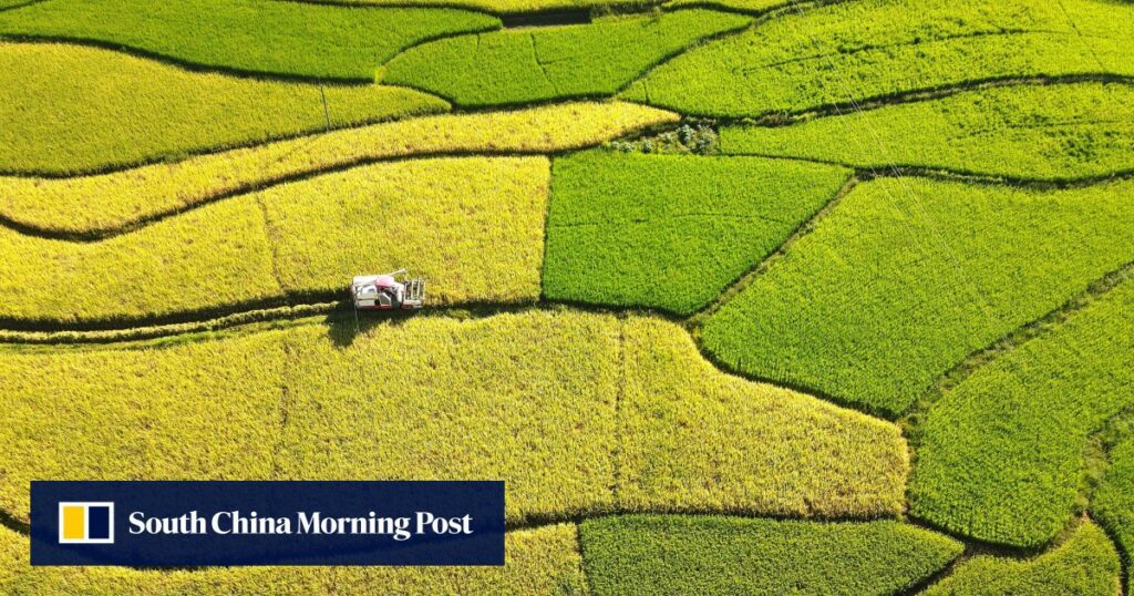 Central Chinese province Hunan to play big role in helping boost African farming and industrial gains