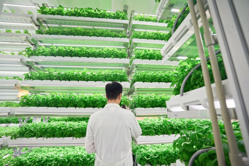 Indoor vertical farming could boost Africa’s food sustainability