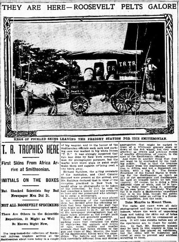 Newspaper article with title 