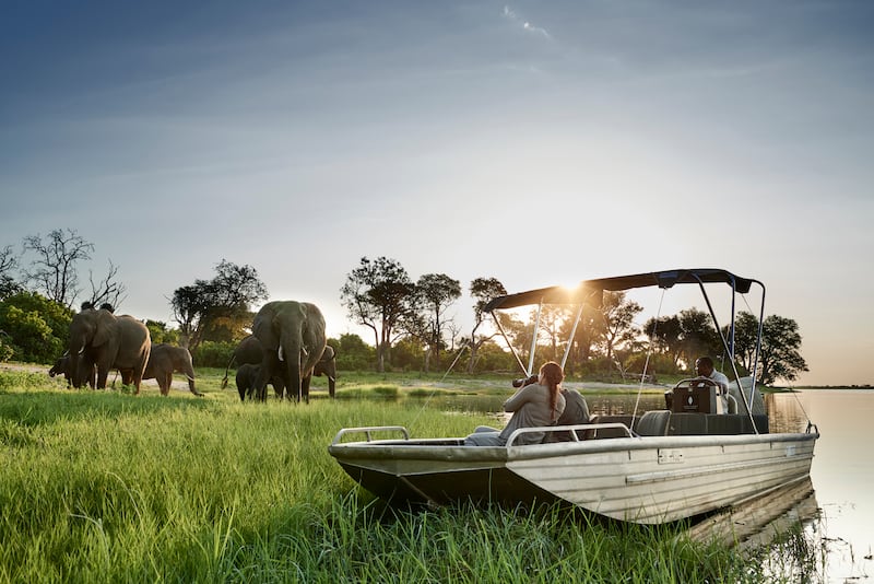 A boat ride along the Chobe river (Mark Williams/PA)