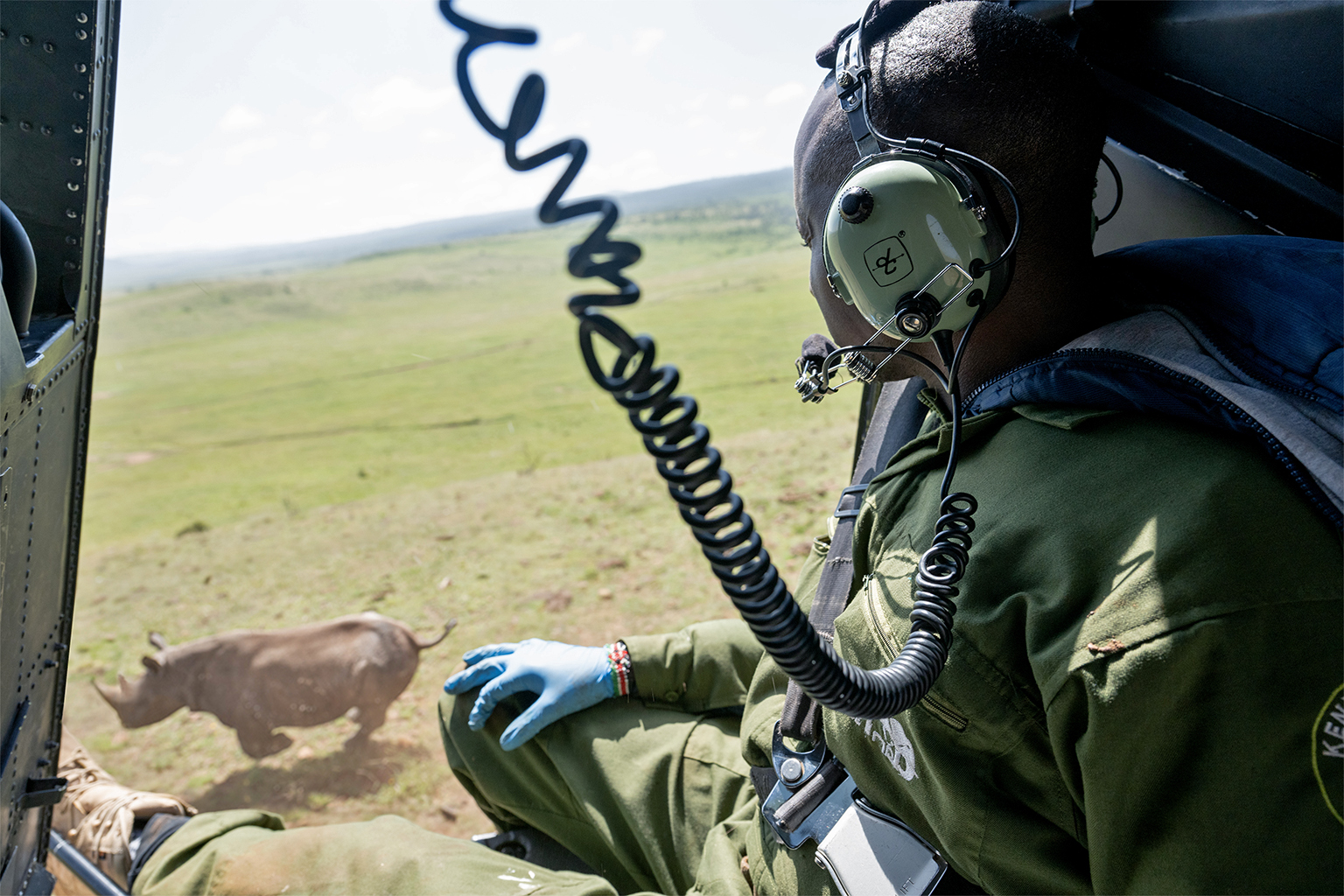 Kenya Wildlife Service veterinarian Dr. Matthew Mutinda monitors a rhino at Lewa Wildlife Conservancy as a helicopter herds it away from the team attending to a nearby tranquillized rhino. 