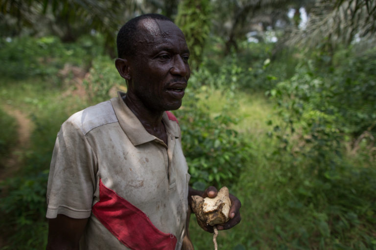 Medium shot of Synaparcam leader Emmanuel Elong standing in a clearing. Image by Dylan Collins