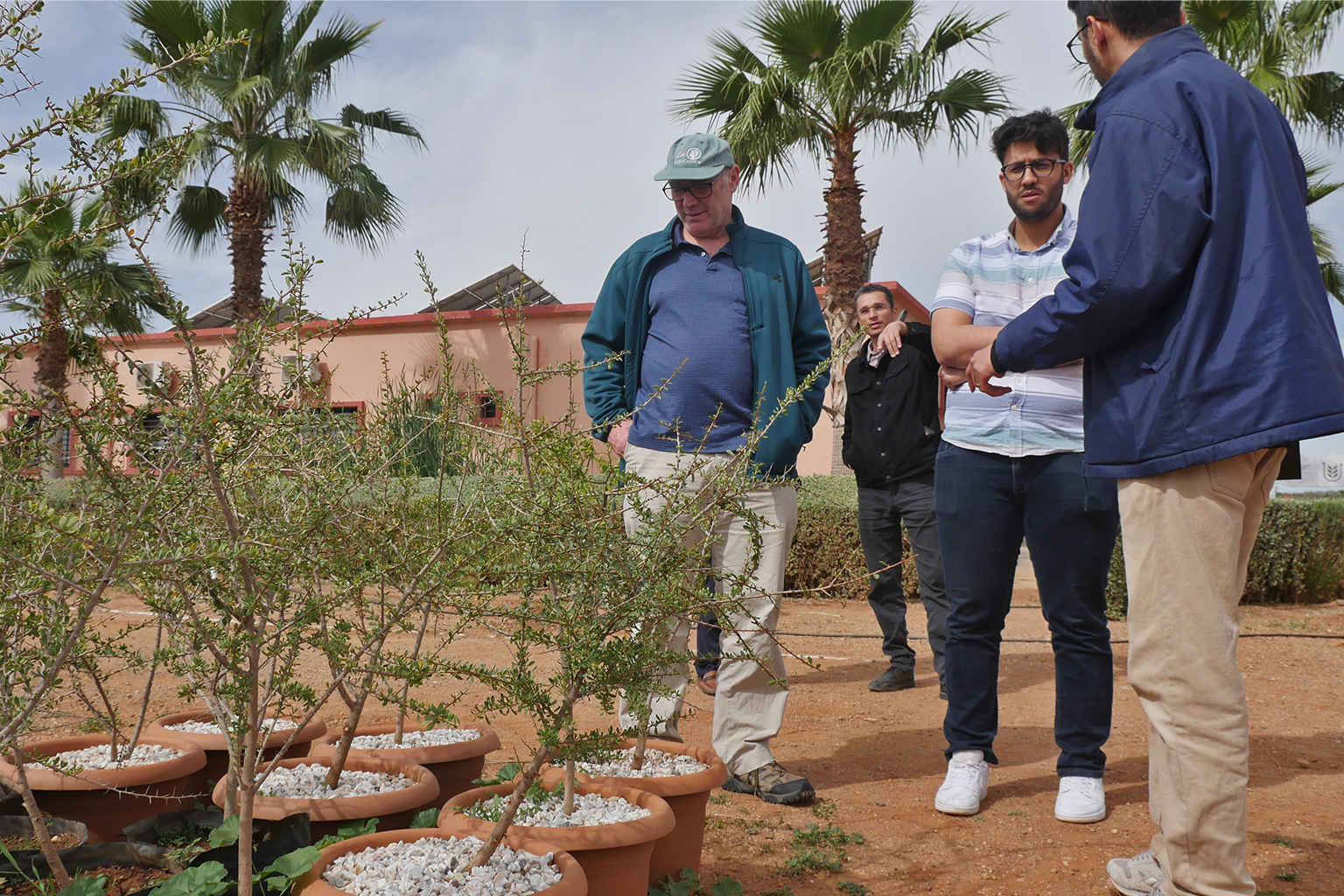 UM6P agronomists explain the environmental and economic benefits of the argan tree to Michael Jacobson, a forestry professor