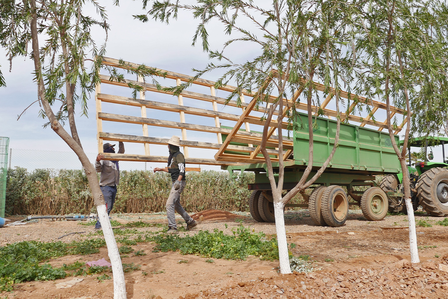 Workers prepare construction materials for the developing experimental farm at Ben Guerir. 