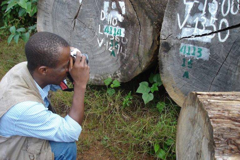 Liberian Goldman Prize winner Silas Siakor is among the critics of the Blue Carbon deal. Image of the activist photographing logged trees. Image courtesy of Silas Siakor.