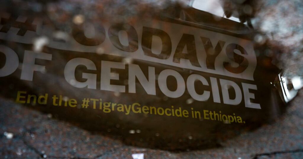 Ethiopia’s Perilous Propaganda War | Foreign Affairs