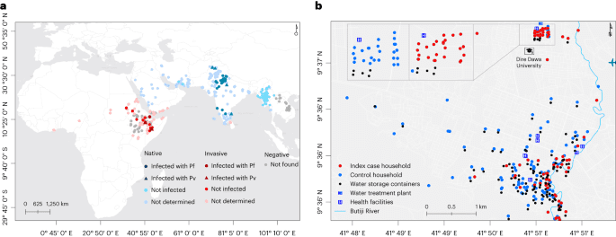 Evidence for a role of Anopheles stephensi in the spread of drug- and diagnosis-resistant malaria in Africa