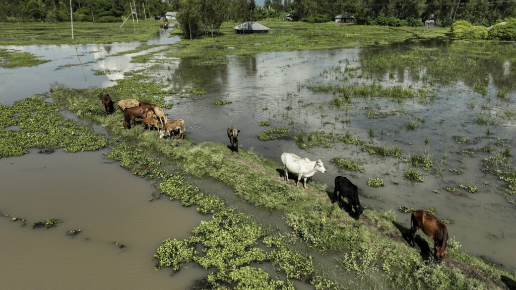 Flooding wreaks havoc across East Africa. Burundi is especially hard-hit