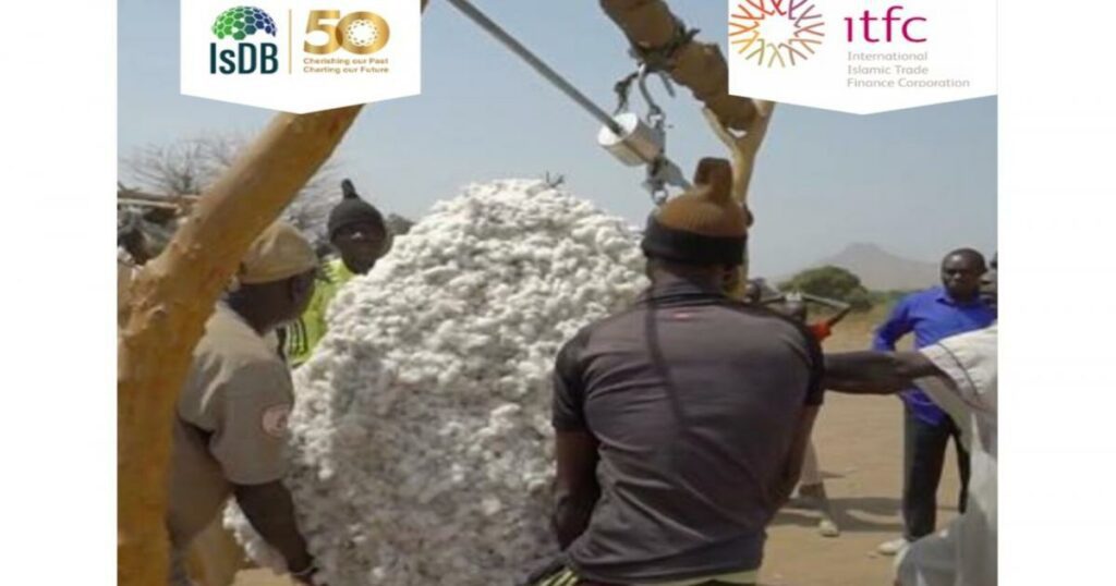 From White Gold to a Brighter Future - A Model for Sustainable Development in Burkina Faso | News