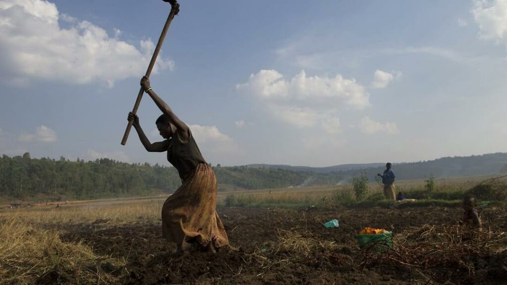 Helping the Burundian People Cope with the Economic Crisis