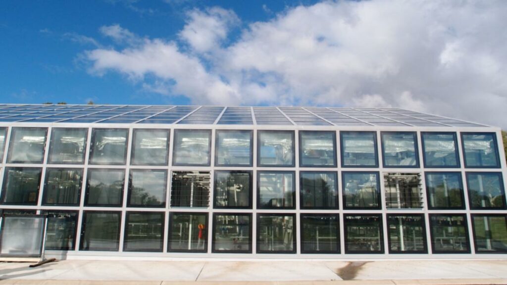 Into Africa: ClearVue forges new path for solar glass