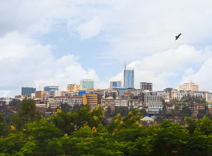 the skyline of kigali, rwanda in africa as seen over some brush with a bird flying above