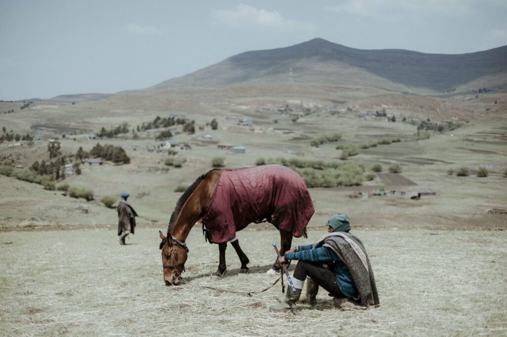 Life moves slowly with horses, donkeys in highlands of Lesotho