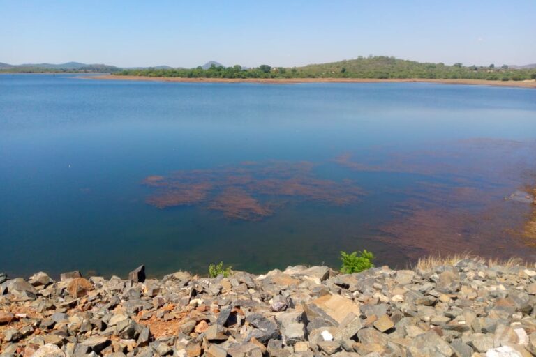 Discoloration in the Matevza Dam, two weeks after a spill at Bikita Minerals. The mine was fined the maximum possible by environmental auhorities. Image by Tatenda Chitagu.