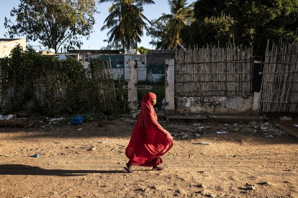 Making Fishers into Farmers? Mozambique’s IDPs Need Livelihood Support