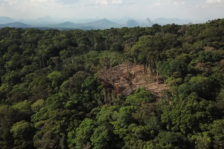 View of rainforest on Mount Nallume, with other peaks in the background. Image courtesy Julian Bayliss.