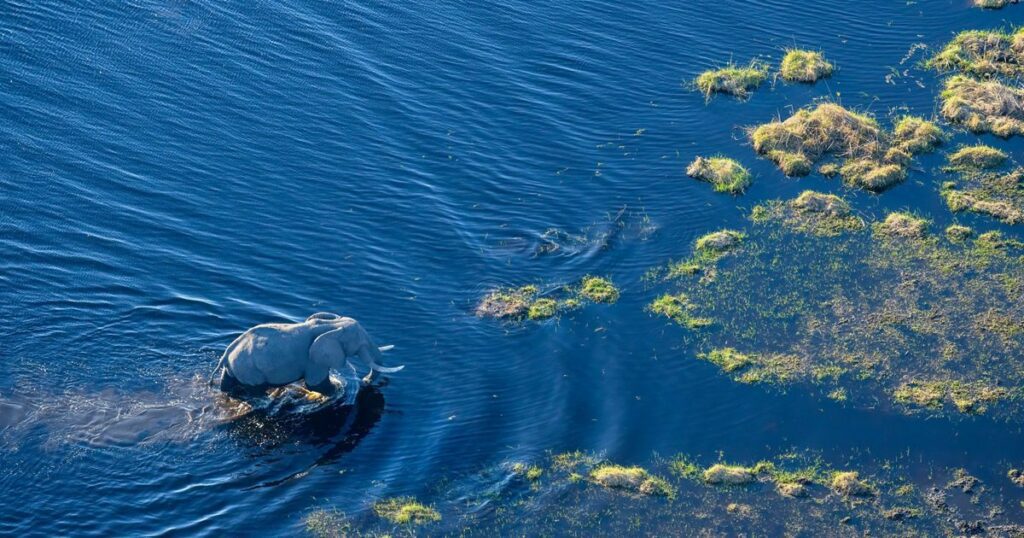 Saving the Okavango | The Nature Conservancy