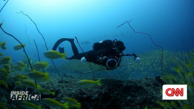 The ‘Queen of the Mantas’ protecting Mozambique’s coastline