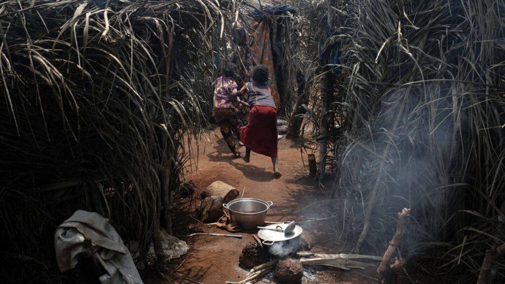 Thousands flee rebel violence in Central African Republic