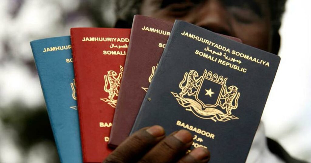 Top 14 African countries with the most powerful international passports - Report