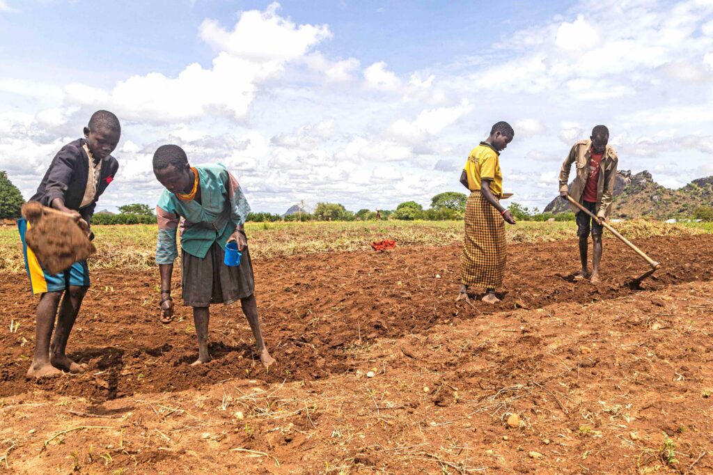 Uganda’s fight against cattle raiders dividing Karamoja people