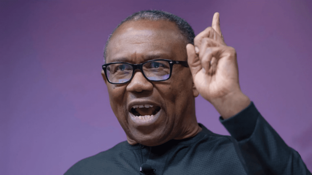 Why Nigeria must learn from South Africa election — Peter Obi — Politics — The Guardian Nigeria News – Nigeria and World News